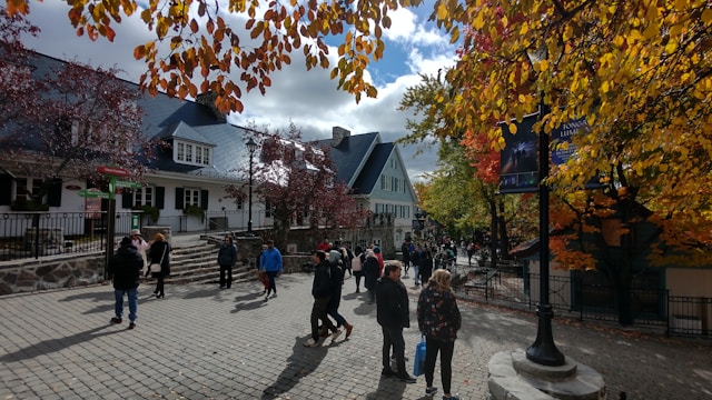 city center with shops in fall